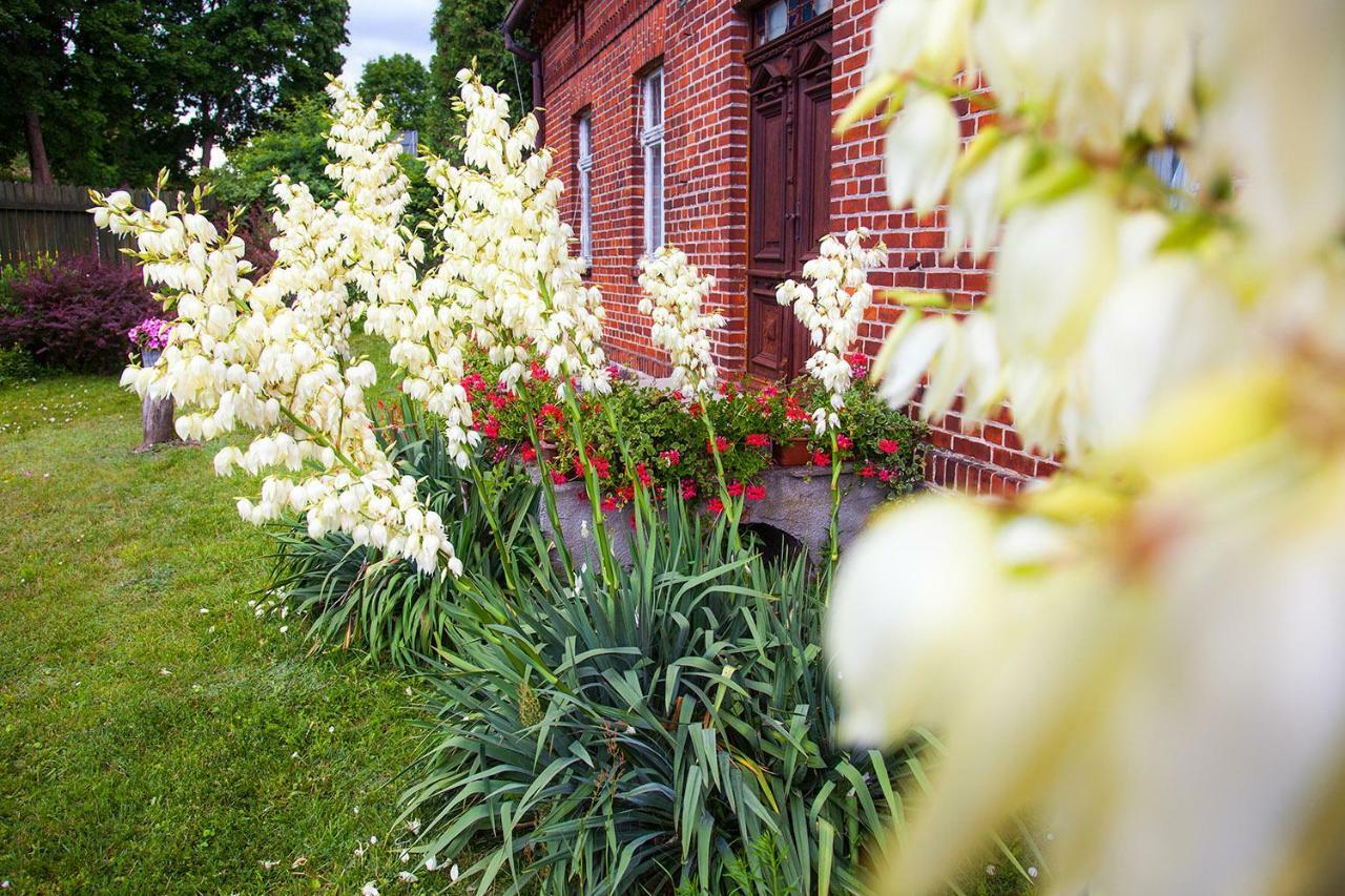 Sloneczny Port Bed & Breakfast Mikołajki Dış mekan fotoğraf